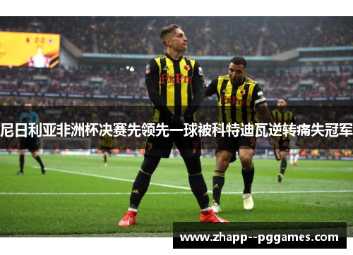 尼日利亚非洲杯决赛先领先一球被科特迪瓦逆转痛失冠军 尼日利亚非洲杯决赛先领先一球被科特迪瓦逆转痛失冠军