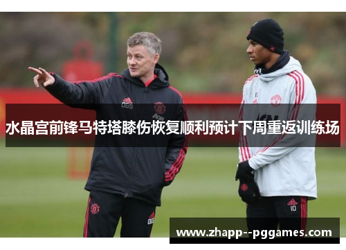 水晶宫前锋马特塔膝伤恢复顺利预计下周重返训练场 水晶宫前锋马特塔膝伤恢复顺利预计下周重返训练场