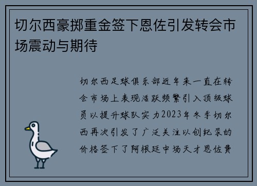 切尔西豪掷重金签下恩佐引发转会市场震动与期待 切尔西豪掷重金签下恩佐引发转会市场震动与期待
